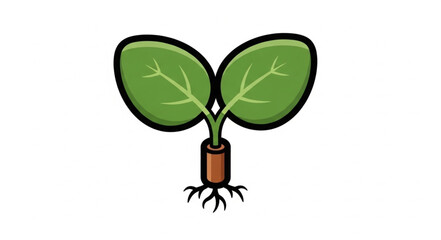 Young Plant Sprout with Visible Roots and Green Leaves. © fuad