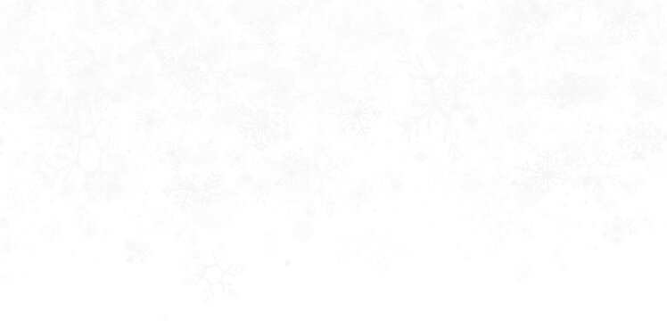 snow filter