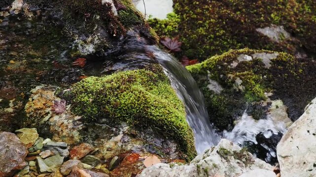 透き通った川の流れ。山岳地帯の清流、渓流。水飛沫。苔むした岩。川音。避暑。静寂。自然風景。