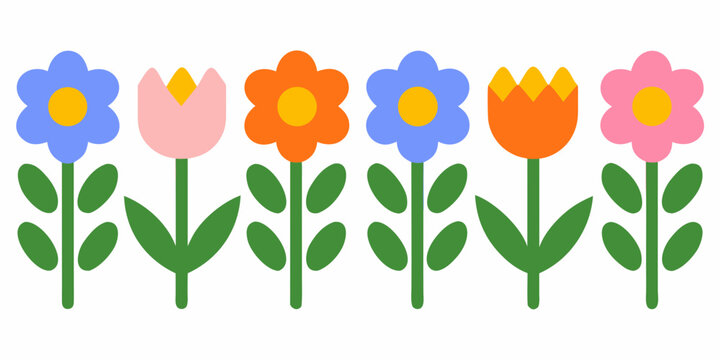 row of colorful flowers on white background flower petals stem leaves tulip
