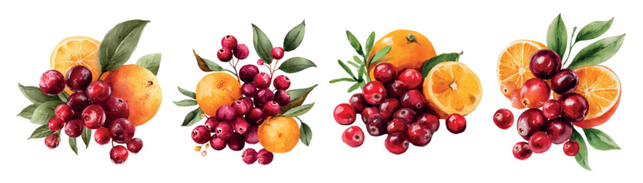Hand painted watercolor cranberries and oranges creating a vibrant winter fruit harvest illustration, perfect for festive seasonal designs and healthy food concepts