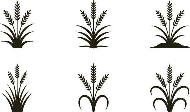 Collection of diverse stylized wheat or barley ear icons representing agriculture and harvest