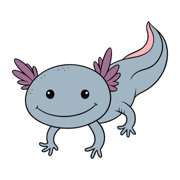 Axolotl is a unique aquatic salamander found in Mexico, known for limb regeneration and cute appearance. Axolotllives in lakes can regrow limbs
