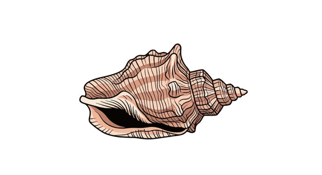 Vector illustration of a spiral conch seashell featuring prominent ridges, a wide aperture, and tan striped line patterns, isolated on a white background as a single marine object.
