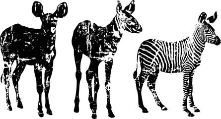 Fototapeta premium Silhouettes of three african savanna animals including two antelopes and one zebra in black and white