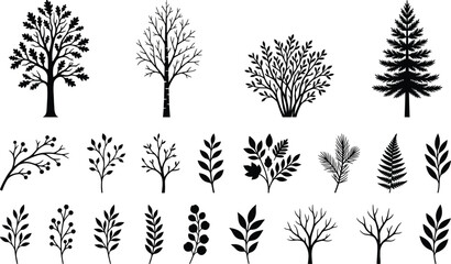 Set of black tree silhouettes and botanical plant elements including oak pine fern leaves and winter twigs isolated on white background for landscape design © Malati