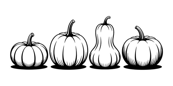 Pumpkin Line Icon Set Featuring Four Doodle Gourds with Stems on a Clean White Background for Autumn Decoration
