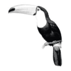 Minimalist toucan bird print on demand asset, t-shirt vector graphic of tropical hornbill exotic animal, monochrome halftone dot matrix design isolated on white © Pixel Art