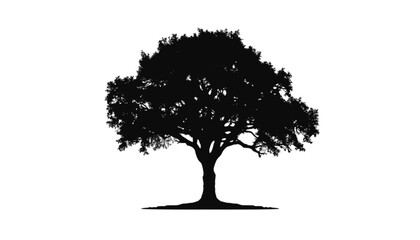 Fototapeta premium Tree silhouette with a broad canopy and extensive root system stands against a plain white surface.