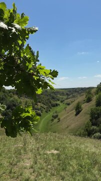 Rolling green valleys and forested slopes of Zagajica Hills - Zagajicka Brda under a clear spring sky. Concept of rural tourism, hiking, nature exploration and scenic countryside in Serbia