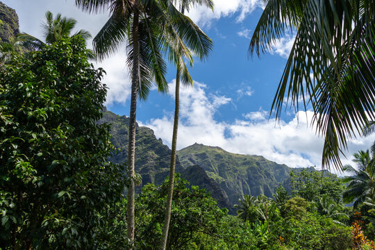 Trek to Vaipo waterfall, Hakaui Valley, Nuku Hiva, French Polynesia