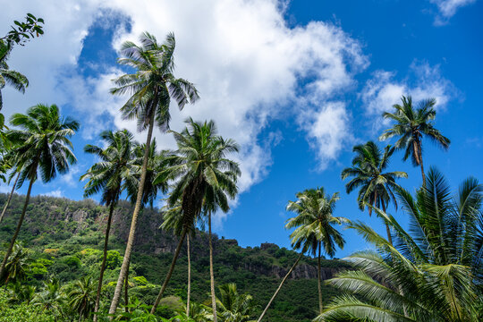 Trek to Vaipo waterfall, Hakaui Valley, Nuku Hiva, French Polynesia