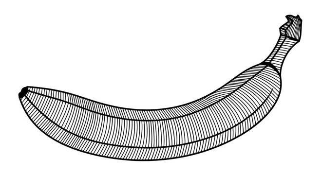 Abstract black and white illustration of a banana, featuring a dense pattern of horizontal parallel lines defining its shape.