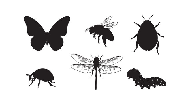 Insects and bugs silhouette collection with butterfly bee dragonfly caterpillar ladybug isolated on plain white surface.