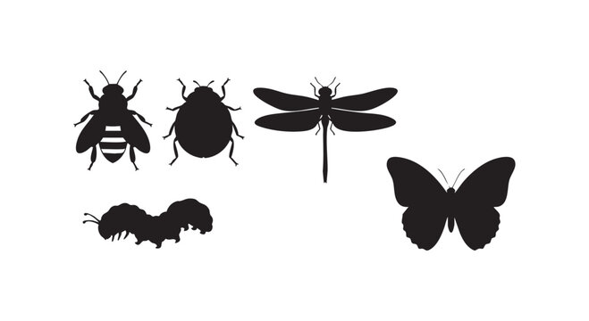 Insects collection icons set: bee ladybug dragonfly caterpillar butterfly for nature study and wildlife appreciation vector illustration.