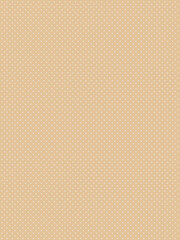 Fototapeta premium Beige Minimal Dot Pattern Background