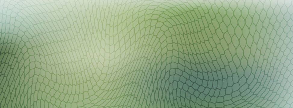 Abstract sage green gradient mesh background with elegant wavy net grid overlay, soft organic fluid lines pattern backdrop vector horizontal banner.