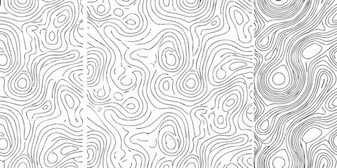 Fototapeta premium Organic line pattern with flowing curves a black and white vector illustration