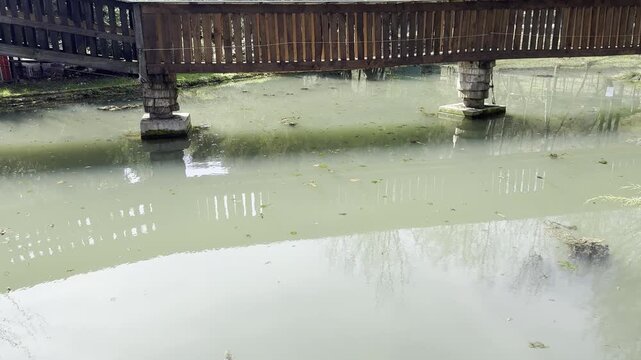 Wooden pedestrian bridge over a murky green pond in a park