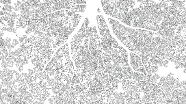 Detailed close up of tree roots and surrounding foliage, featuring intricate line art and organic shapes.