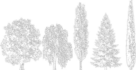 Obraz premium Outline of five varied trees, displaying diverse shapes from round to tall and slender, on a transparent background.