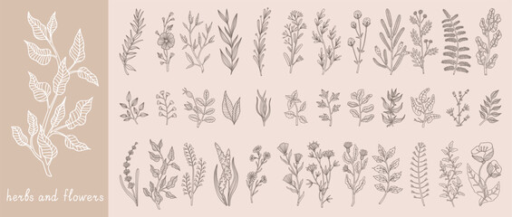 Line flowers. Hand drawn floral plant leaves, branch leaf sketch or wedding black art logo. Greenery, foliage blossom decorative botanical art, seasoning boho vector minimalistic illustration © SpicyTruffel