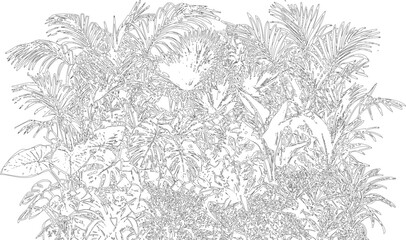 Dense jungle vegetation cluster with tropical palm leaves and exotic monstera foliage for garden landscaping architecture. © MD ALI STOCK