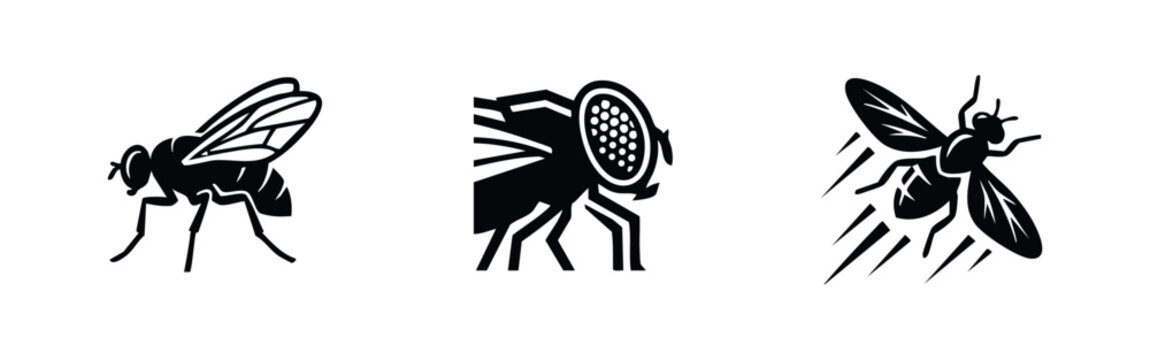 Housefly insect icons set. Detailed silhouettes of a common fly in different poses.