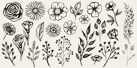Naklejka premium hand drawn botanical illustrations in black and white hand drawn flowers leaves plants