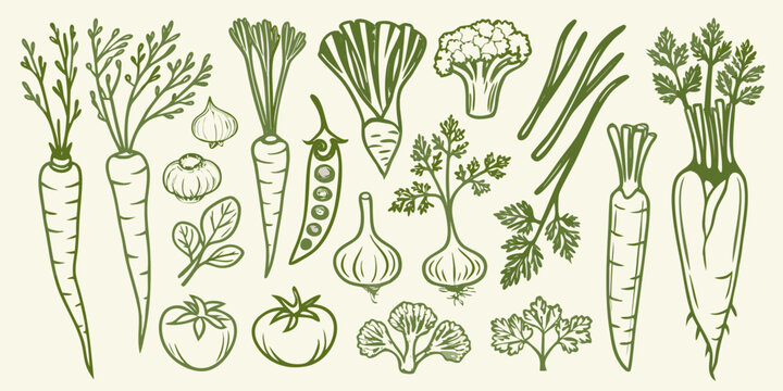 hand drawn vegetable garden illustration in green hand drawn carrot onion broccoli pea