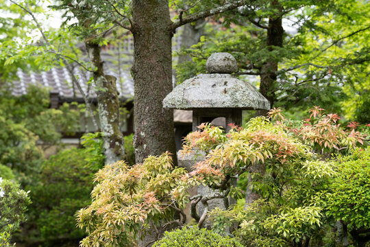Lush Japanese garden and pagoda near Kiyomizu-dera Temple in Kyoto