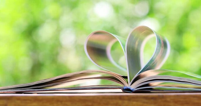 Opened paper book with pages in heart shape against green nature background, back to school, love reading and outdoor relaxation concept.