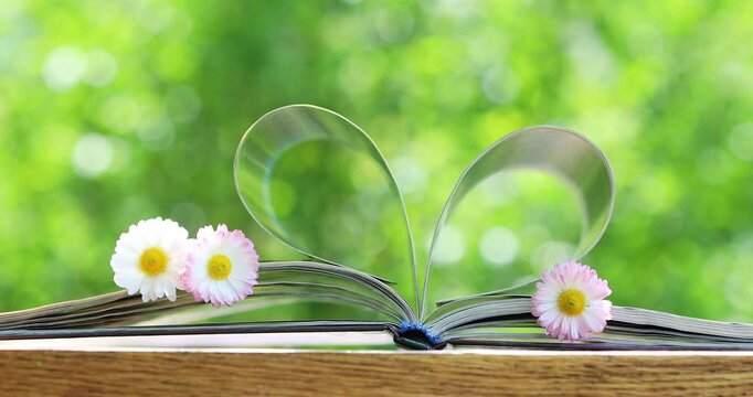 Opened paper book with pages in heart shape and flowers against green nature background, back to school, love reading and outdoor relaxation concept.