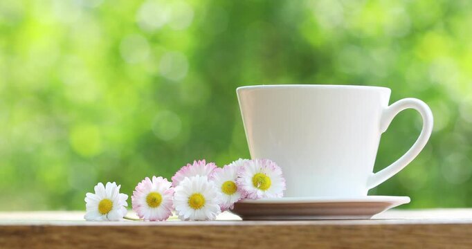 Tea or coffee cup with ceramic saucer and woman hand against serene nature background. Summer country morning breakfast outdoor decorated with daisy flowers.