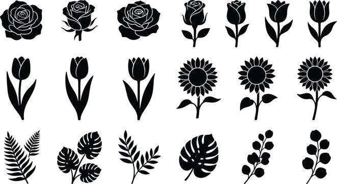 Black and white of floral and botanical and patterns flowers leaves desi