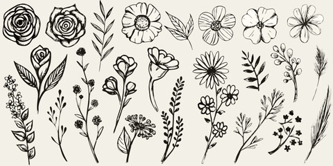 Naklejka premium hand drawn botanical illustrations in black and white line art flowers leaves