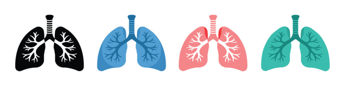 Human lungs anatomy icon set vector illustration
