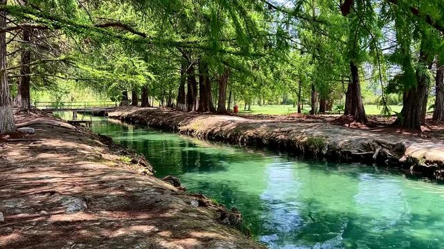 Tree-Lined Turquoise Spring Waterway (Laguna de la Media Luna, San Luis Potosi, Mexico)
