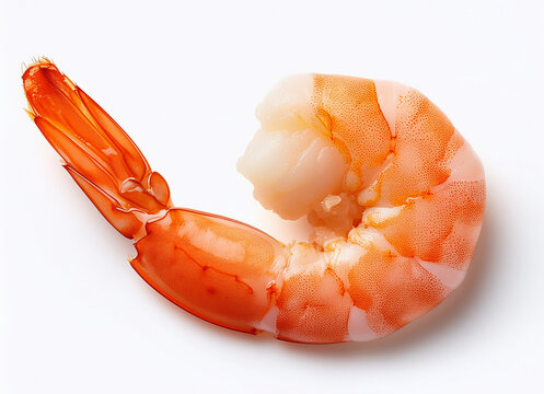 Riesengarnele, Shrimp, Garnele, Krebstier, wei&szlig;er Hintergrund_ 6
