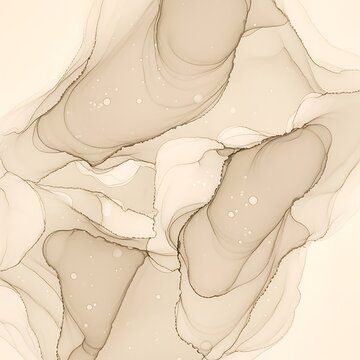 Line drawing of human pelvic bones anatomy.