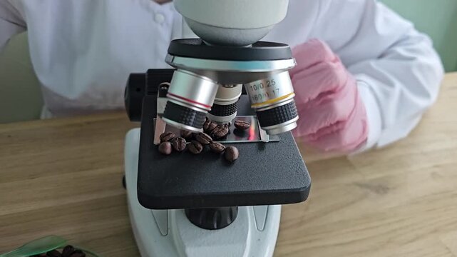 Examining coffee beans under a microscope in a research lab for quality assessment