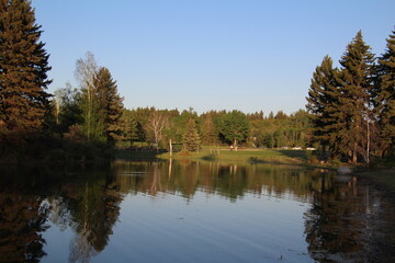 Fototapeta premium Spring On The Lake, William Hawrelak Park, Edmonton, Alberta