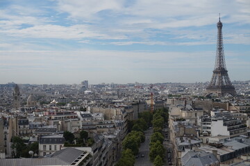 Fototapeta premium View of Paris from Arc de Triumph