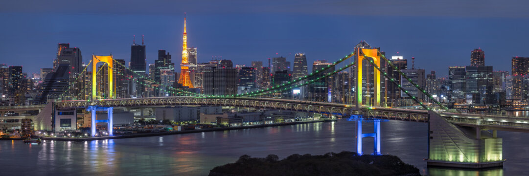 Tokyo skyline panorama at night, Odaiba, Tokyo, Japan