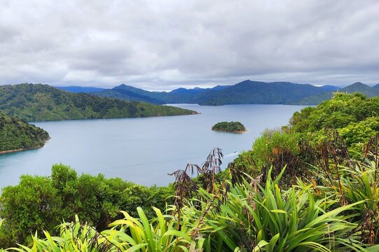 Blenheim, New Zealand - Lake with forested island, lush hills and cloudy Marlborough scenery. A calm Blenheim landscape features a forested island surrounded by still blue water, framed by lush hills.
