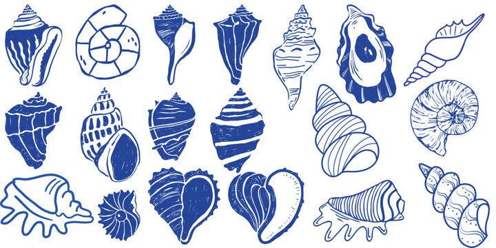 Hand Drawn Blue Seashell and Marine Conch Sketch Vector Collection - Editable Stroke.