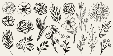 Fototapeta premium collection of hand drawn botanical illustrations in black and white hand drawn flowers