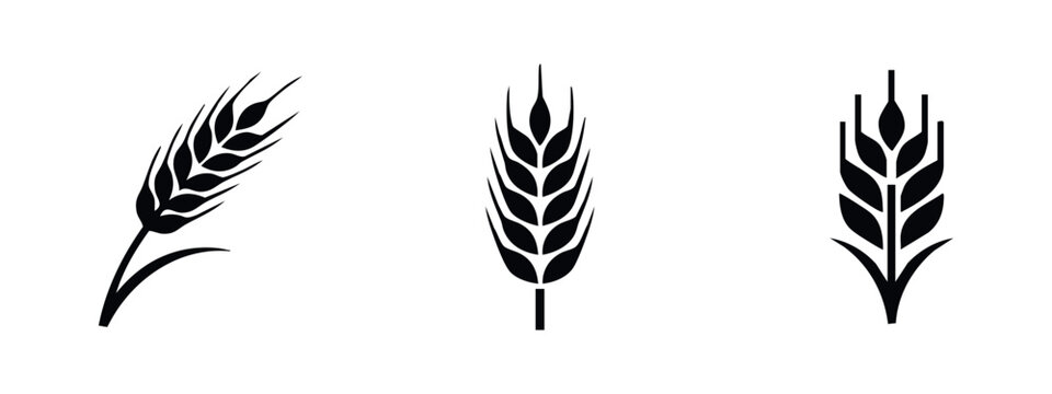 Set of black and white icons featuring wheat stalks, representing harvest and agriculture.