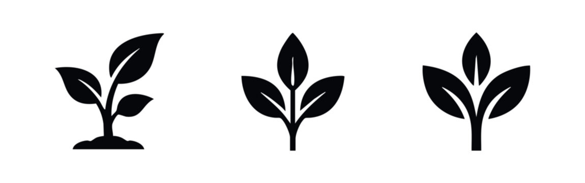 Young plant icon set. Sapling, sprout, and new growth symbols for nature and environment.