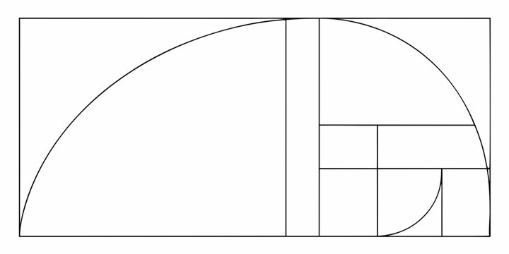 golden ratio spiral line illustration on white background mathematical geometry pattern proportion